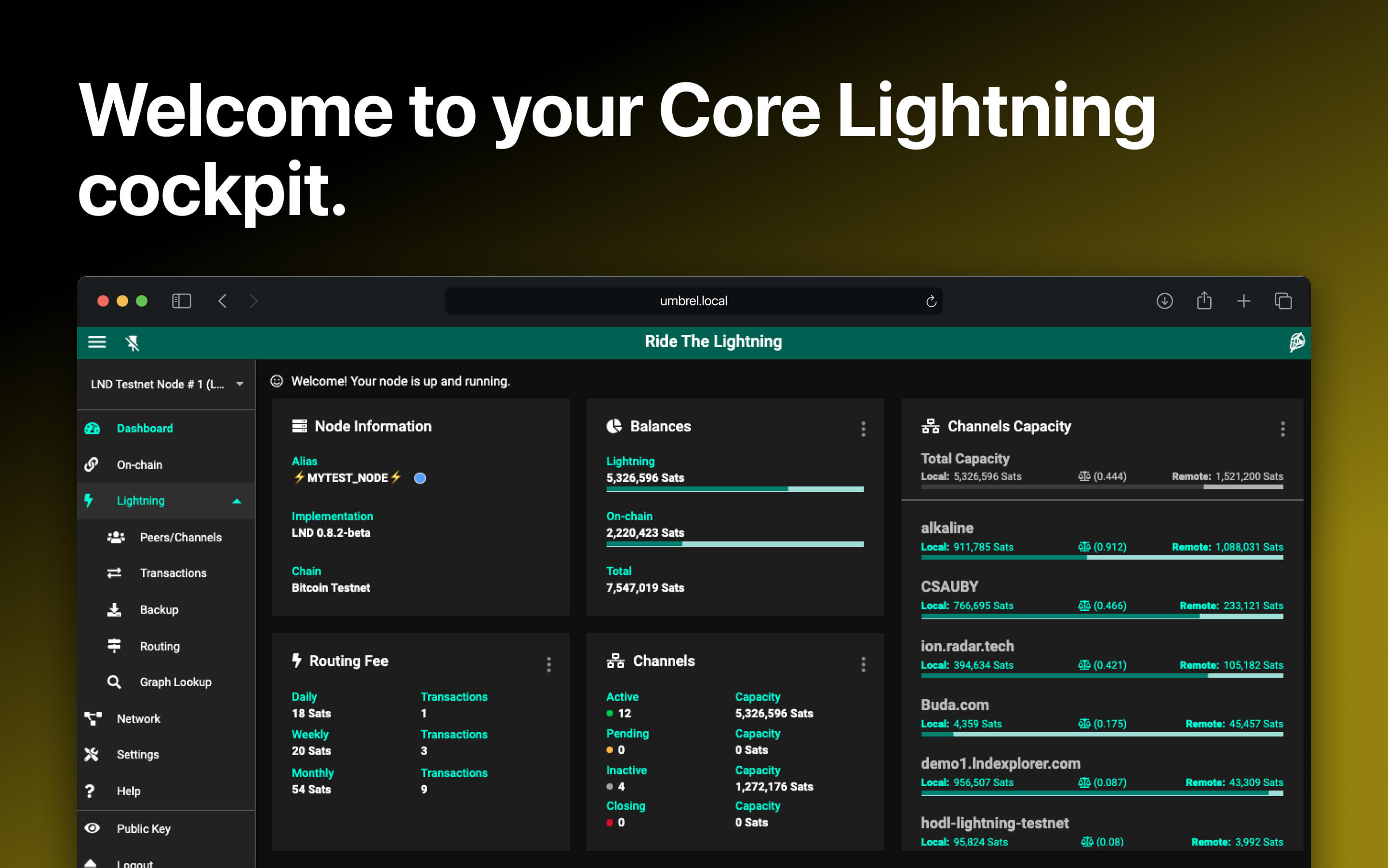 Screenshot 3 of Ride The Lightning (Core Lightning)