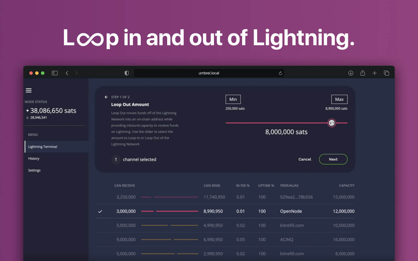 Screenshot 3 of Lightning Terminal