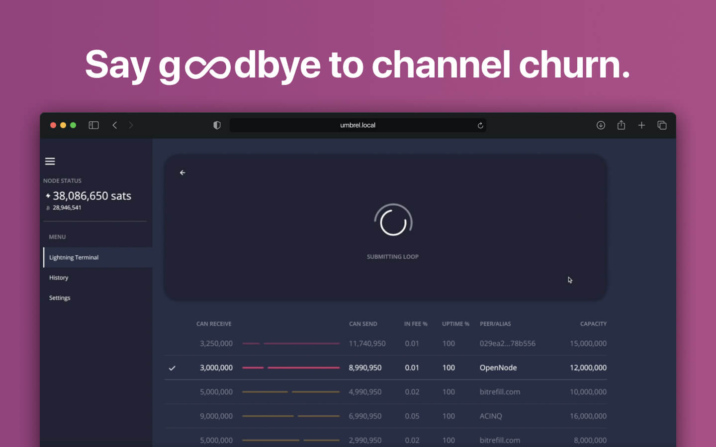 Screenshot 4 of Lightning Terminal