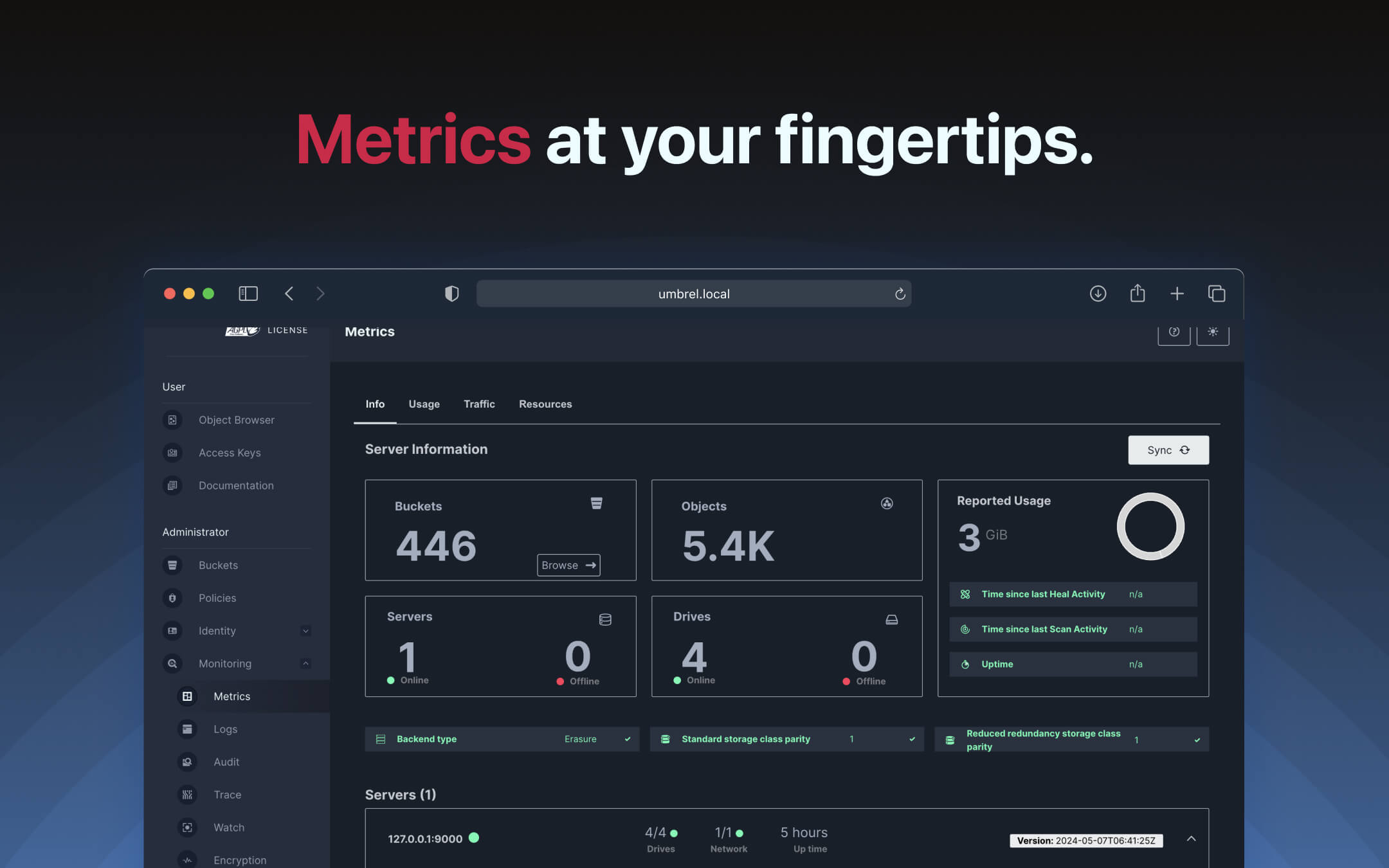 Screenshot 3 of MinIO
