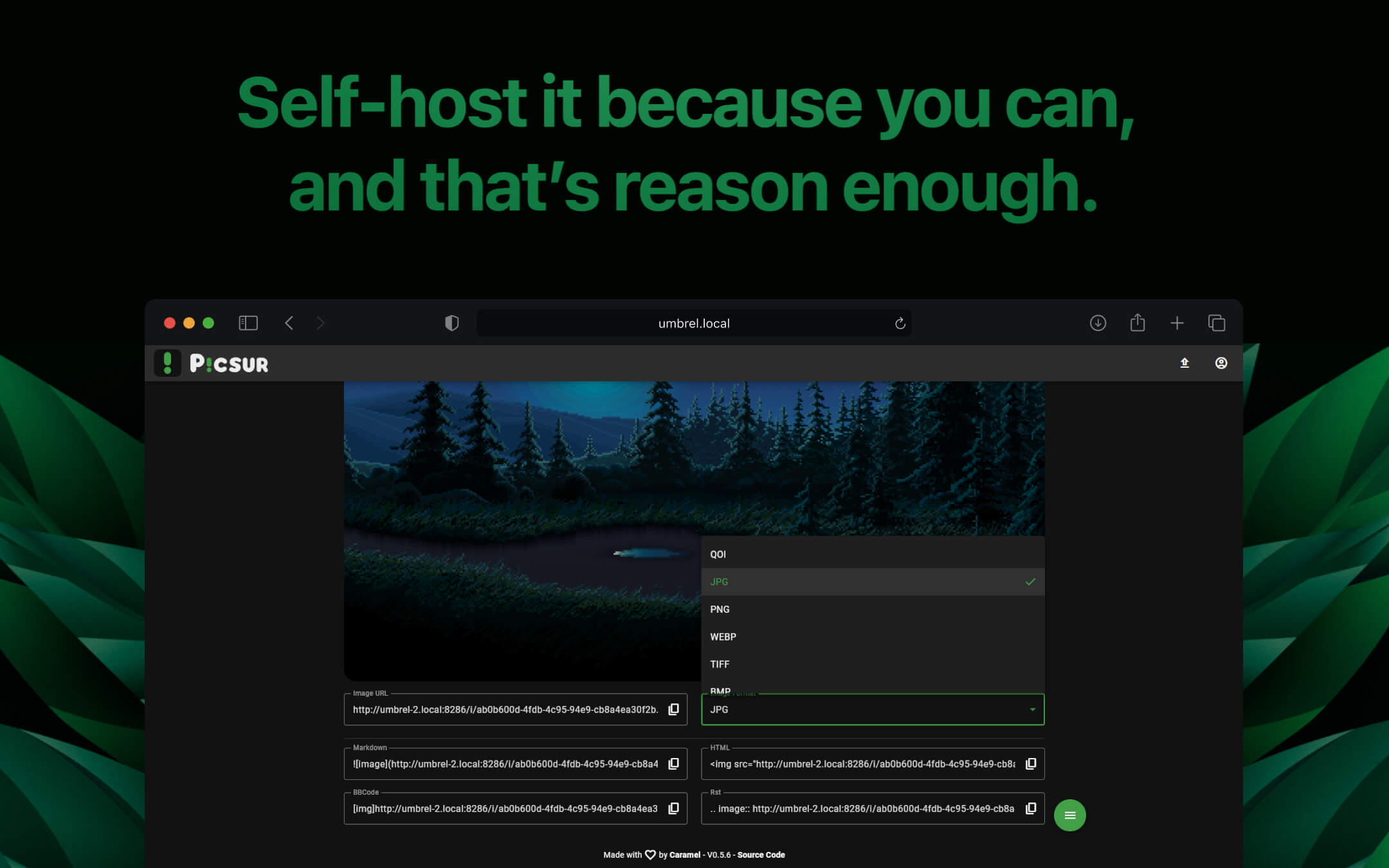 Screenshot 3 of Picsur