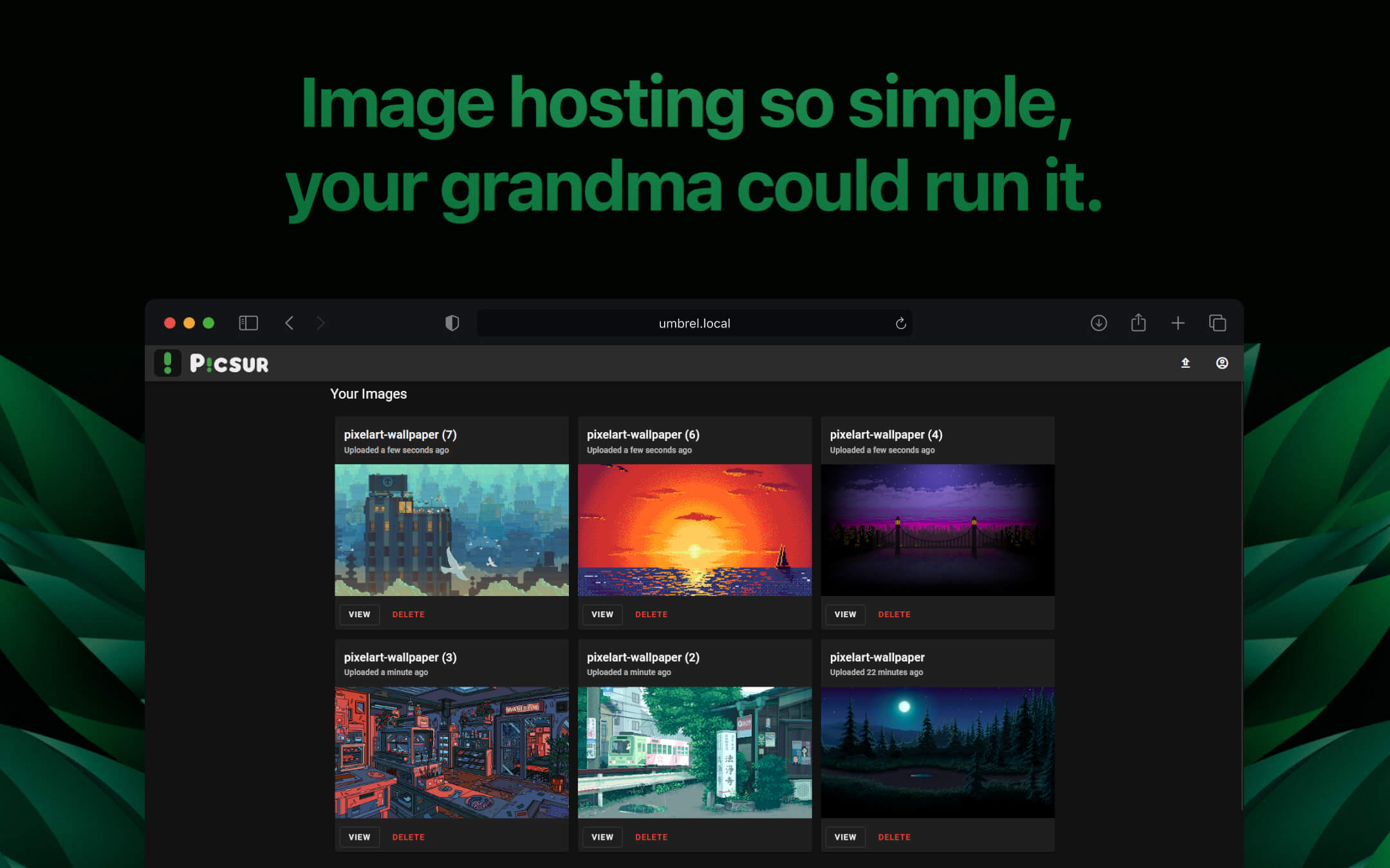 Screenshot 4 of Picsur