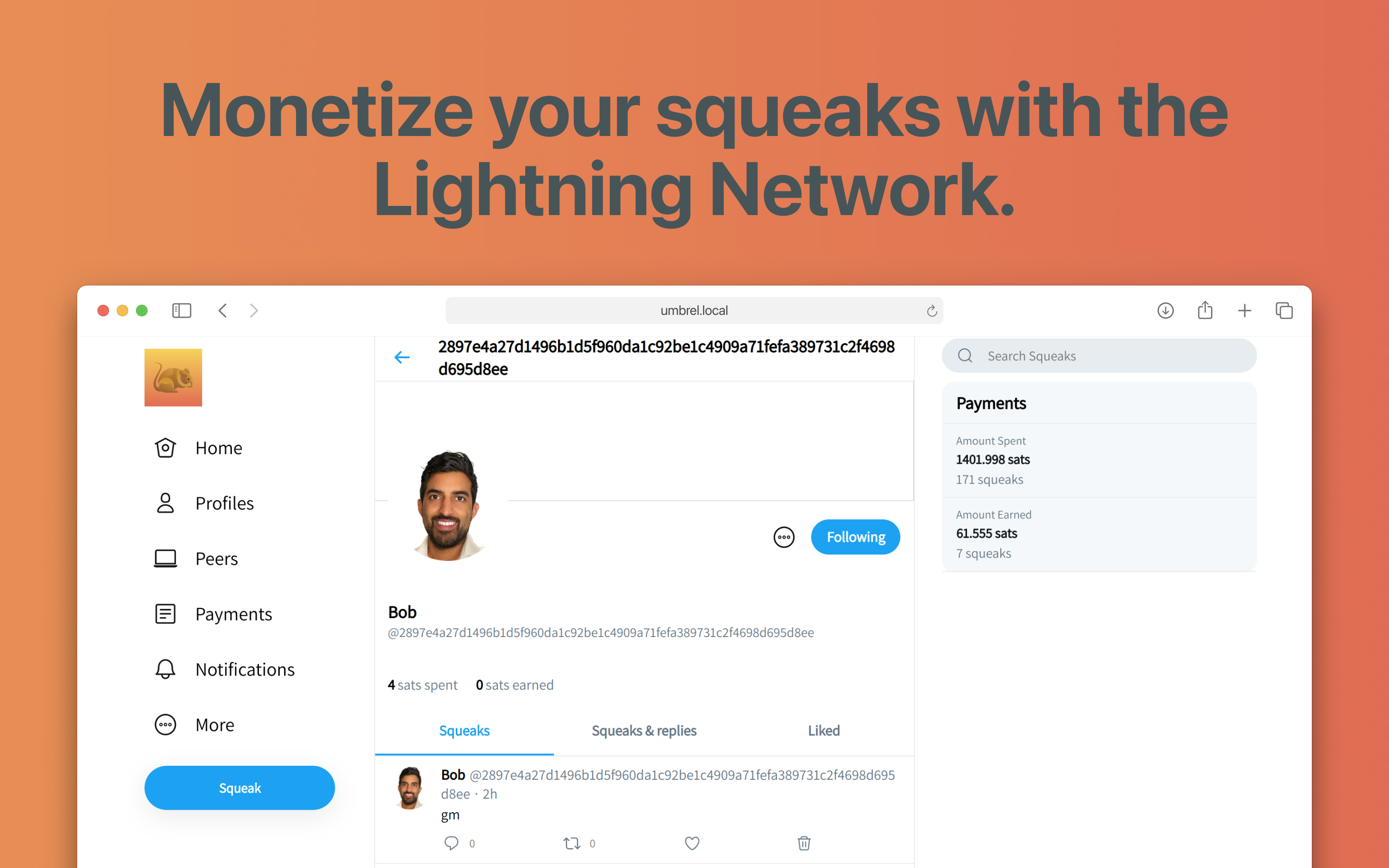 Screenshot 3 of Squeaknode