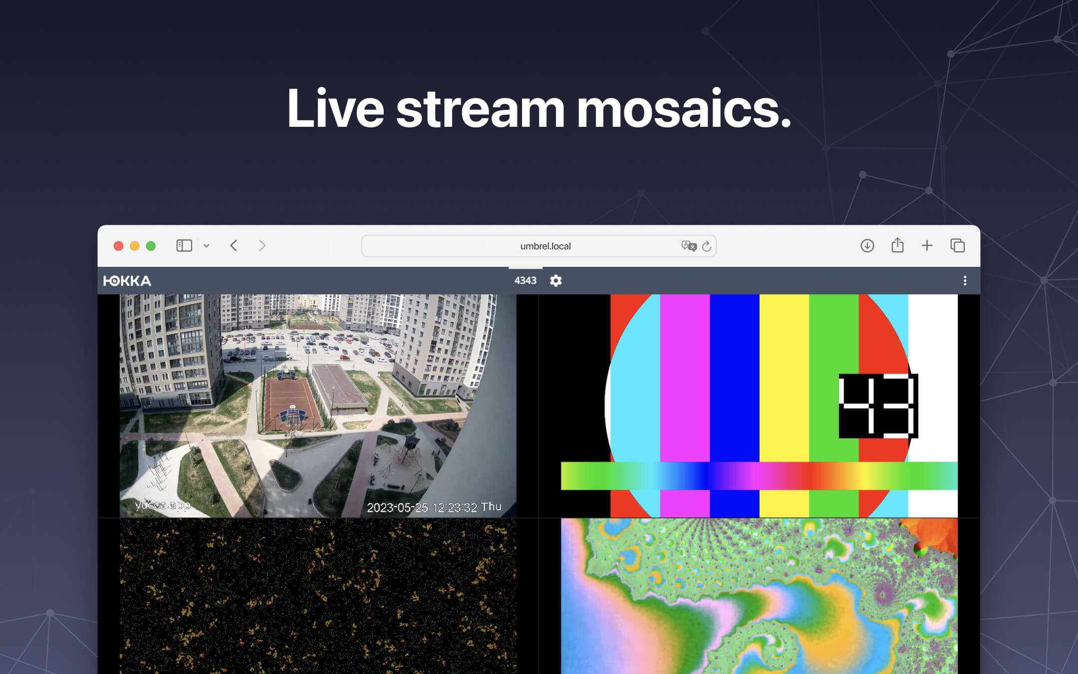 Screenshot 3 of Yucca